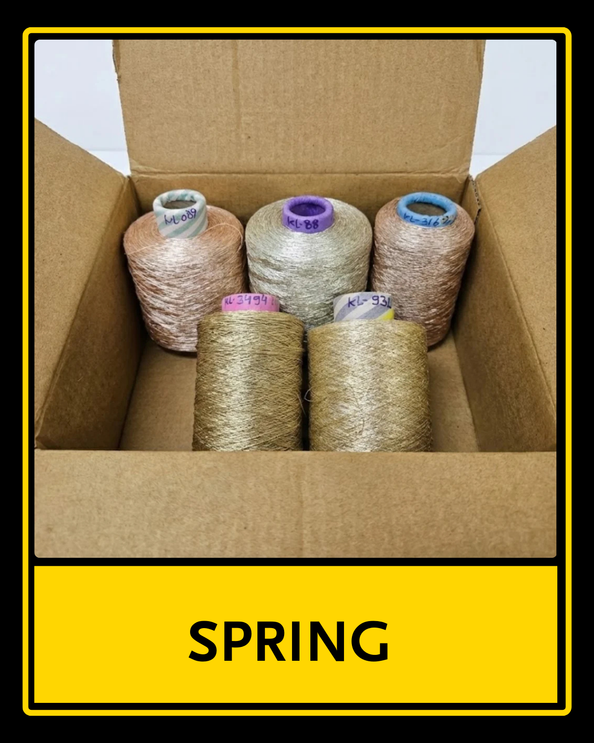 TM_Spring